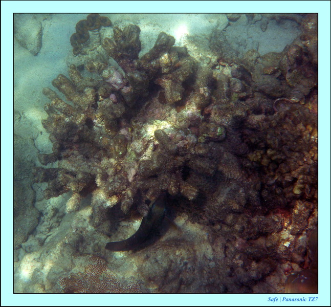 2011 - 03 - Koh Ngai 098